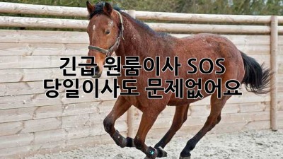 🚨 긴급 원룸이사 SOS! 당일이사도 문제없어요! 💨