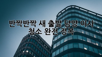 ✨ 반짝반짝 새 출발! 담양 이사 청소 완전 정복 🏡