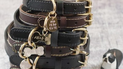 🐶 우리 댕댕이 안전 책임! 대형견 목줄 꿀팁 & 후기 대방출 🐾